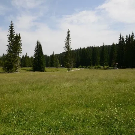 Holiday home Pocitniska Hisa Jurcek Pokljuka Goreljek