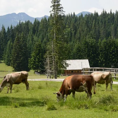 Pocitniska Hisa Jurcek Pokljuka Сasa de vacaciones Goreljek