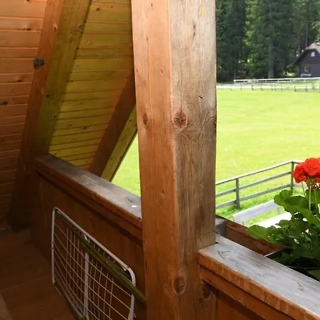Holiday home Pocitniska Hisa Jurcek Pokljuka