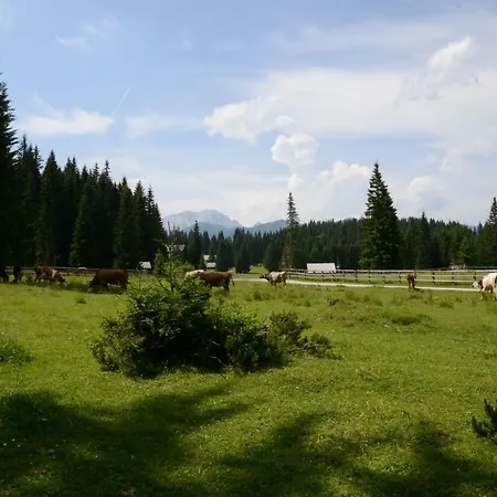 Pocitniska Hisa Jurcek Pokljuka Сasa de vacaciones Goreljek