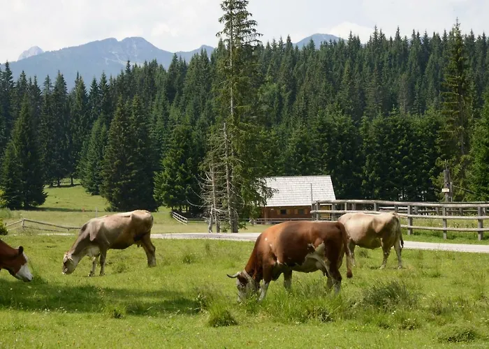 Pocitniska Hisa Jurcek Pokljuka Nyaraló Goreljek