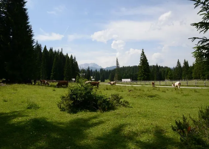 Pocitniska Hisa Jurcek Pokljuka Nyaraló Goreljek